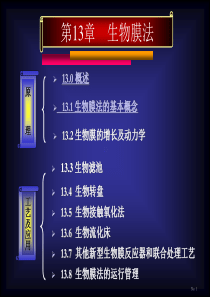 第13章生物膜法概述及原理