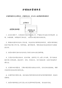 护理组织管理体系