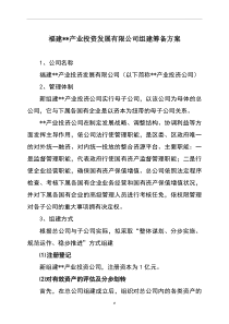 产业投资公司组建筹备方案