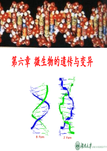 第一篇第6章微生物的遗传与变异