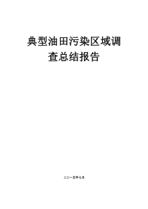 典型污染类区域调查总结报告