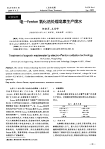 电Fenton氧化法处理皂素生产废水