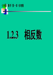 电场强化蛋白质溶液超滤过程研究宋伟杰