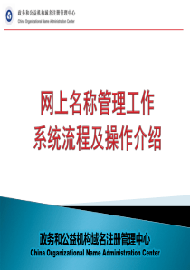 网上名称管理工作系统流程及操作介绍