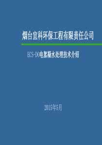 电絮凝除油除色ppt最终版