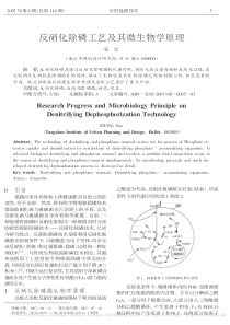 反硝化除磷工艺及其微生物学原理张宝