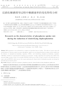 反硝化聚磷诱导过程中聚磷速率的变化特性分析杨永哲