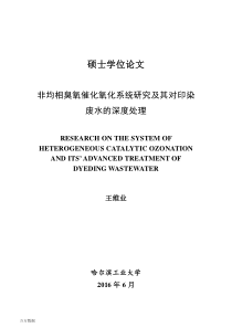 非均相臭氧催化氧化系统研究及其对印染废水的深度处理