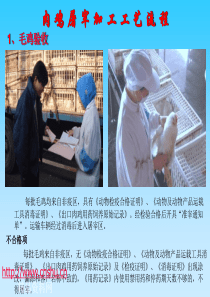 肉鸡加工流程介绍dafa