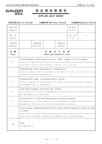 供应商审核报告