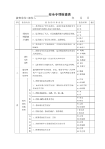 安全专项检查表