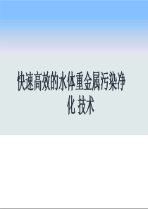 高效快速去除重金属和磷的技术