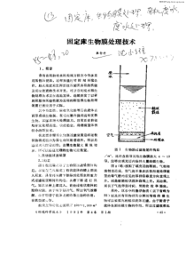 固定床生物膜处理技术