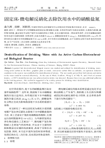 固定床微电解反硝化去除饮用水中的硝酸盐氮