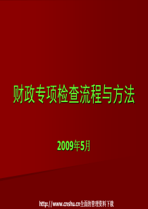 财政专项检查流程与方法（PPT 38页）