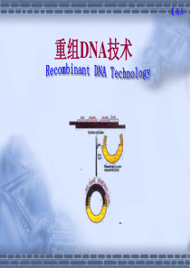 广西大学高级生物化学课件重组DNA技术2