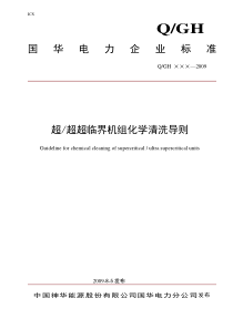 国华电项目2009超临界机组化学清洗导则