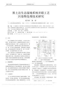 黑土洼生态湿地系统并联工艺污染物处理技术研究邢乃春