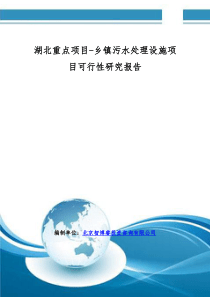 湖北重点项目乡镇污水处理设施项目可行性研究报告编制大纲