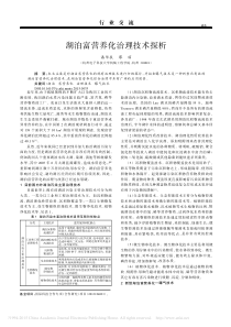 湖泊富营养化治理技术探析