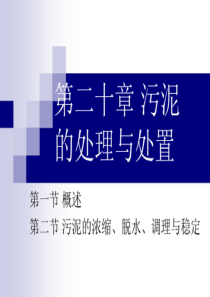 华南理工环境科学课件第二十章污泥的处理与处置