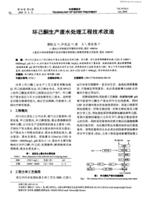 环己酮生产废水处理工程技术改造