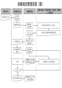 通信行业-战略规划管理标准流程