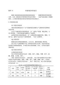 环境风险评价报告