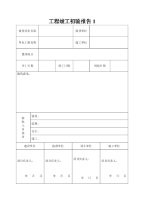 工程竣工初验报告表格