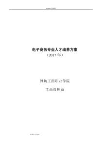 2017年电子商务人才培养方案报告