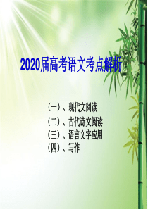 2020届高考语文考点解析.ppt