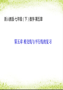 七年级数学下册考试前复习课件人教版