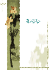 森林碳循环