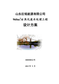 山东巨铭能源960吨处理方案教学版