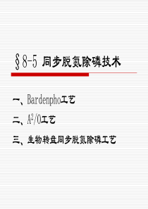 深度处理5同步脱氮除磷技术磷