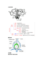 (完整版)高中生物必修二第一章知识点总结