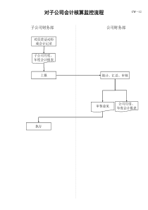 电力行业-对子公司会计核算监控流程