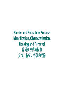障碍和替代流程的定义、特征、等级和消除PPT22页(1)