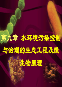 水环境污染控制与治理的生态工程已微生物原理