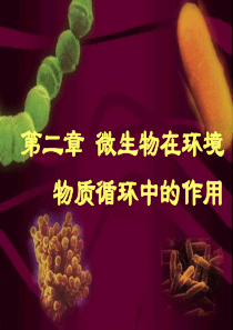 微生物在环境物质循环中的作用