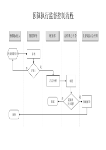预算执行监督控制流程