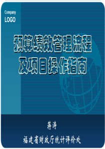 预算绩效管理流程及项目