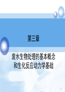 污水生物处理基本概念和生化反应动力学基础