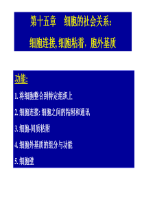 细胞的社会关系