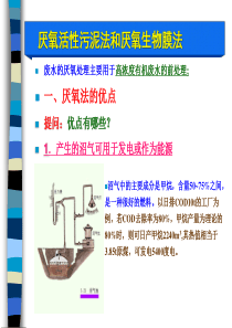 厌氧活性污泥法和厌氧生物膜法