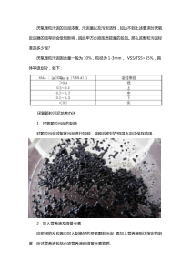 厌氧颗粒污泥标准