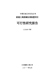 乙烯废碱处理装置项目可研文字