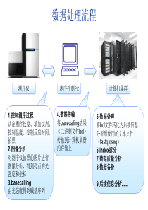 高通量数据处理流程