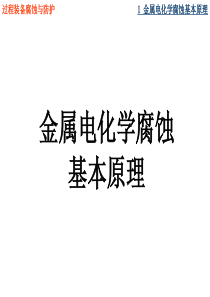 金属电化学腐蚀基本原理第一章