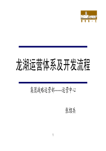 龙湖地产公司运营体系与开发工作流程